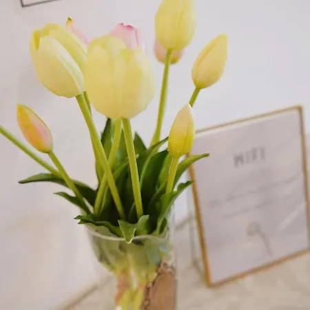 Venice Apollo Apartamento