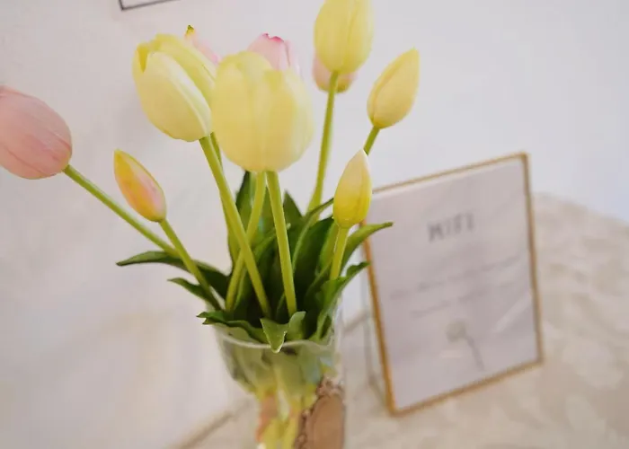 Venice Apollo Appartamento